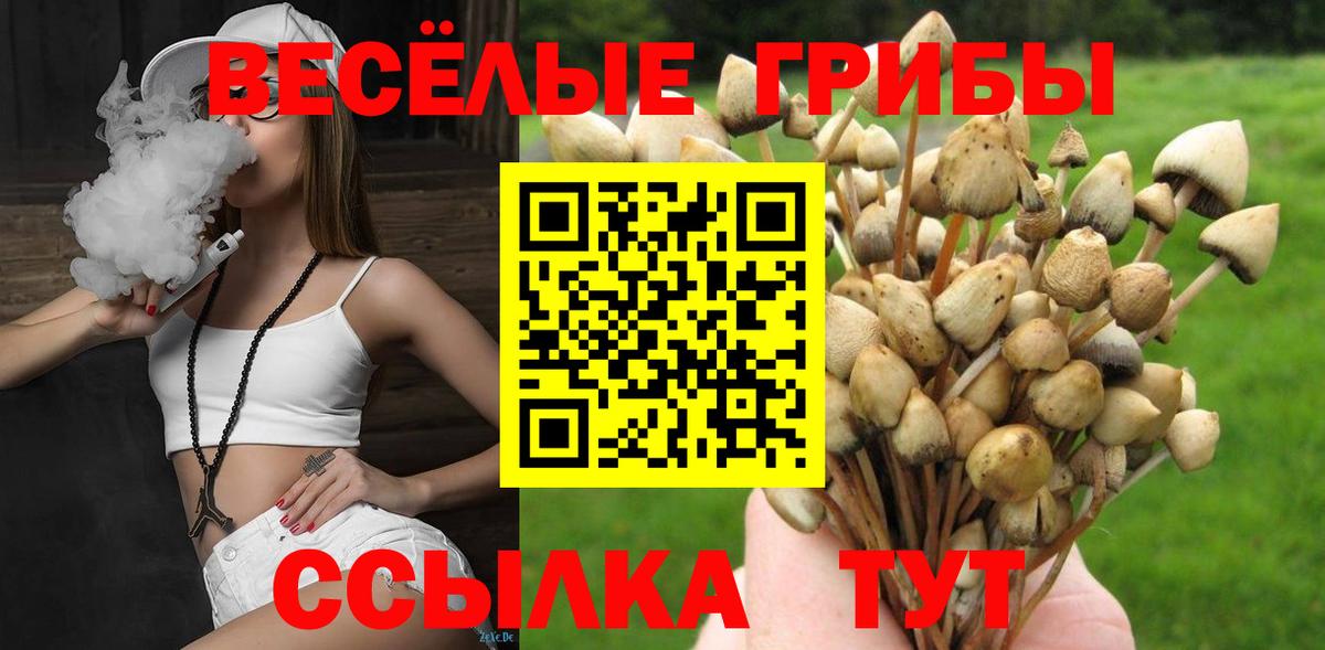 Галлюциногенные грибы Psilocybine cubensis  Вход с VPN  Туймазы  закладка  Галлюциногенные грибы Cubensis 