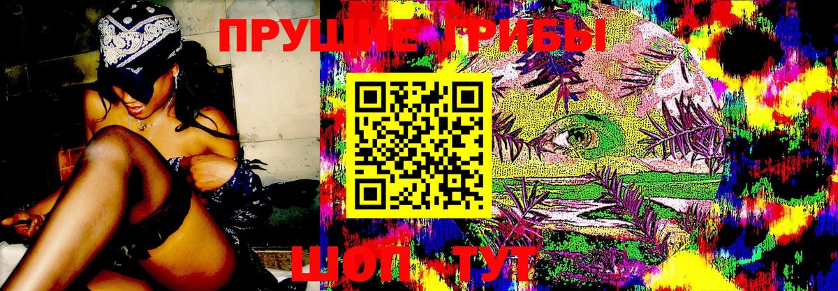 Псилоцибиновые грибы прущие грибы Туймазы